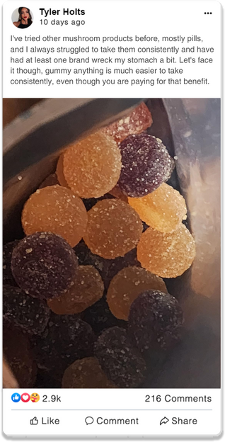 Pure Edge – Mushroom Gummies 16 2_23938c42-d9d7-4c20-b453-cc0c94887179.png